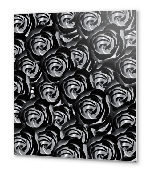 blooming rose pattern texture abstract background in black and white Metal prints by Timmy333