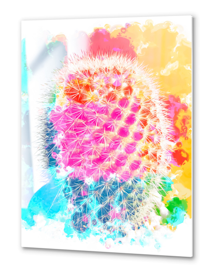 closeup cactus with colorful painting abstract in pink orange blue Metal prints by Timmy333