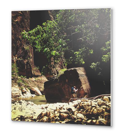 Hiking in the forest at Zion national park, USA Metal prints by Timmy333