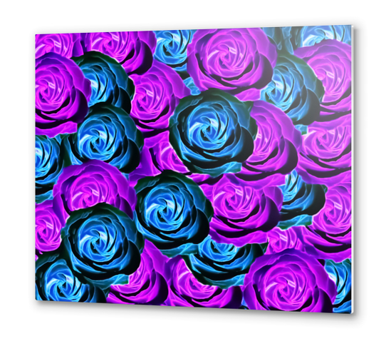 blooming rose texture pattern abstract background in purple and blue Metal prints by Timmy333