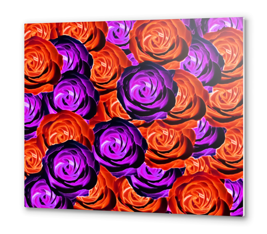 blooming rose texture pattern abstract background in red and purple Metal prints by Timmy333