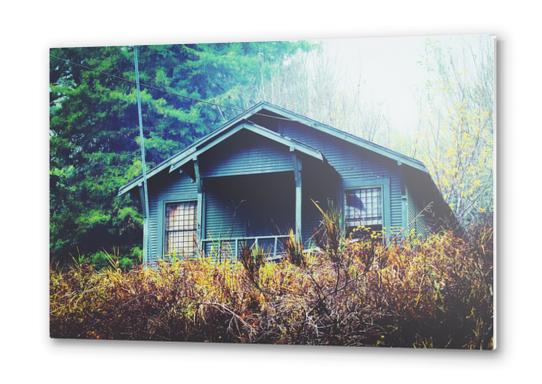 green wooden house in the forest in winter Metal prints by Timmy333