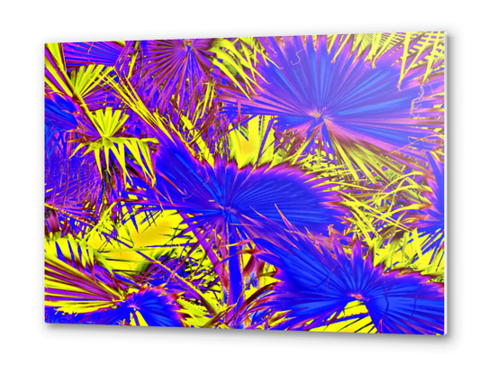 closeup palm leaf texture abstract background in blue pink and yellow Metal prints by Timmy333