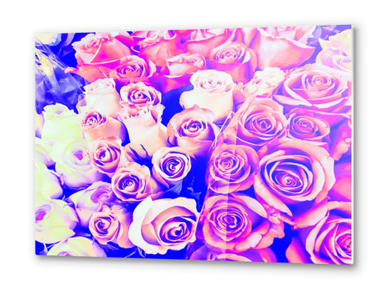 bouquet of roses texture pattern abstract in pink and purple Metal prints by Timmy333