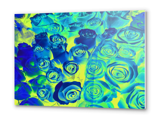 bouquet of roses texture pattern abstract in blue and green Metal prints by Timmy333