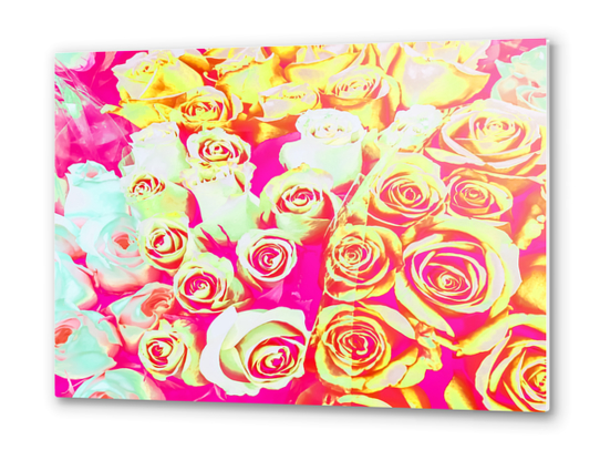 bouquet of roses texture pattern abstract in pink red yellow Metal prints by Timmy333