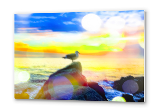 bird on the stone with the summer beach sunset background Metal prints by Timmy333