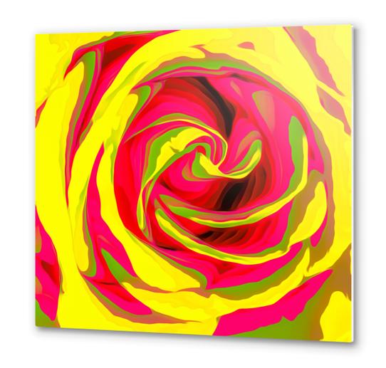 red and yellow rose abstract background Metal prints by Timmy333