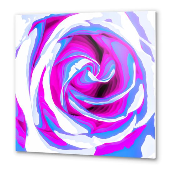 pink and blue closeup rose texture background Metal prints by Timmy333