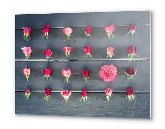 fresh red and pink roses on the wooden table Metal prints by Timmy333