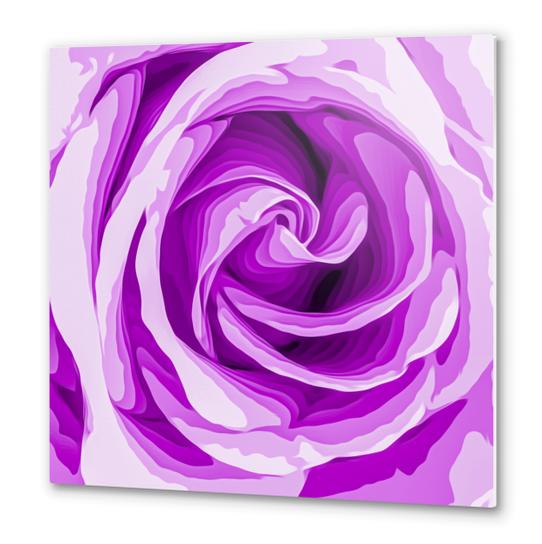 closeup purple rose texture background Metal prints by Timmy333