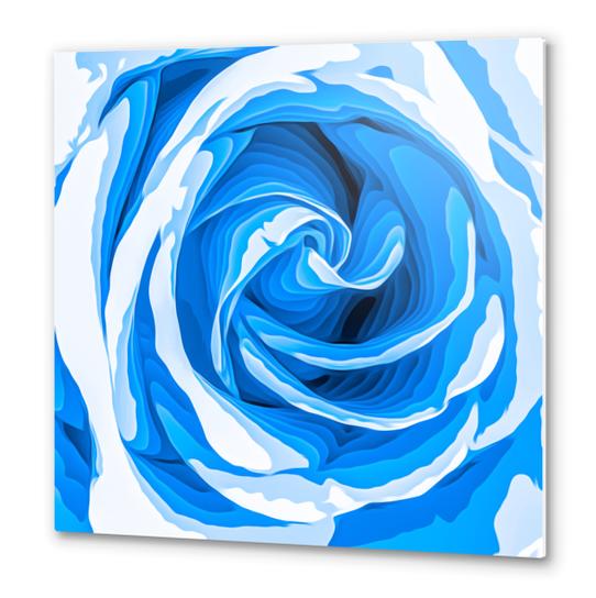 closeup blue rose texture abstract background Metal prints by Timmy333