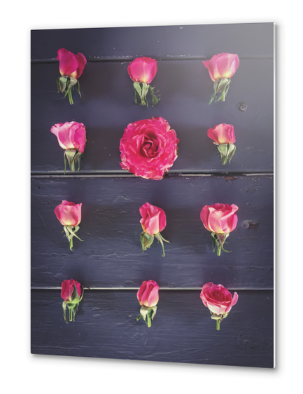 fresh and beautiful pink roses with wood background Metal prints by Timmy333