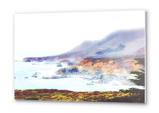 at Big Sur, Highway 1, California, USA in foggy day Metal prints by Timmy333