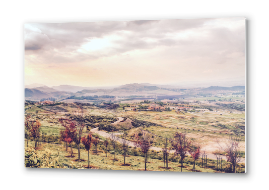 countryside view with sunset sky and green field with mountain view Metal prints by Timmy333