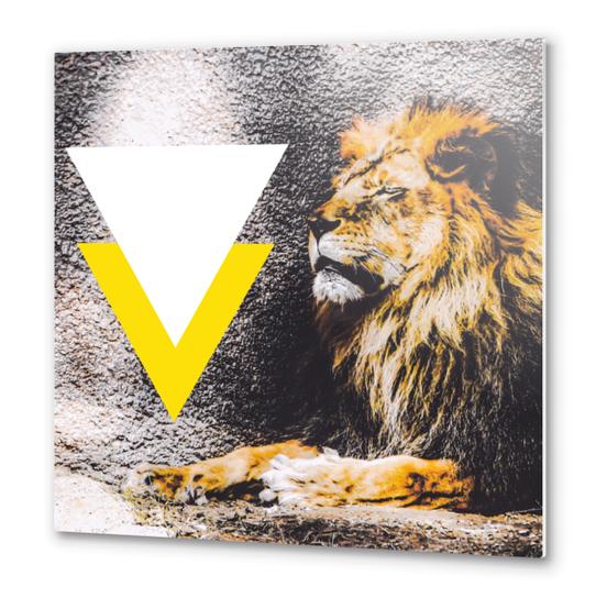 lion with white and yellow triangle  Metal prints by Timmy333