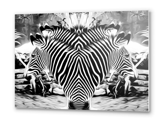 drawing and painting zebras in black and white Metal prints by Timmy333