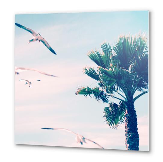 Palm Tree Metal prints by mmartabc