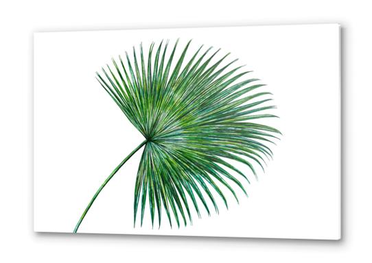 Palm Leaf Metal prints by Nika_Akin