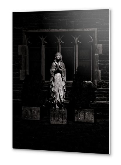 Mad Donna No 1 Metal prints by The Learning Curve Photography