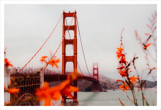 At Golden Gate bridge San Francisco California USA Art Print by Timmy333