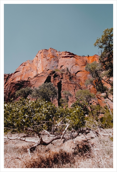 Mountain in the forest at Zion national park Utah USA Art Print by Timmy333