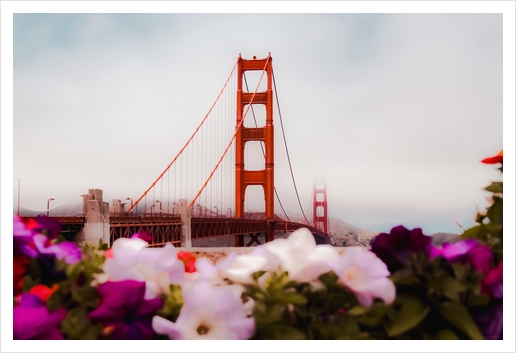 At Golden Gate bridge San Francisco California USA with foggy sky Art Print by Timmy333