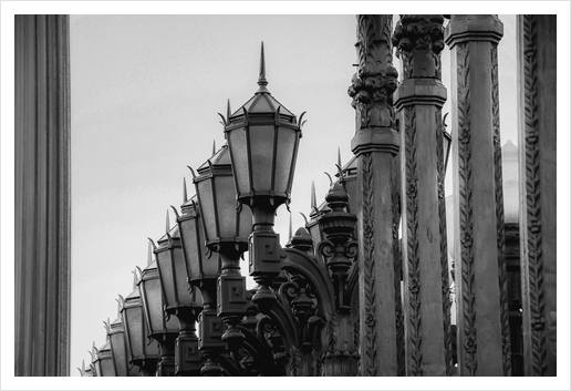 Urban Light at LACMA Los Angeles California USA in black and white Art Print by Timmy333