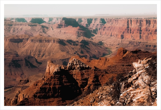 Summer view in the desert at Grand Canyon national park USA Art Print by Timmy333