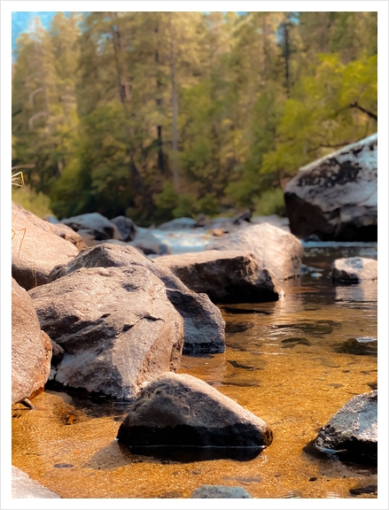 river in the forest and pine tree at Yosemite national park USA Art Print by Timmy333