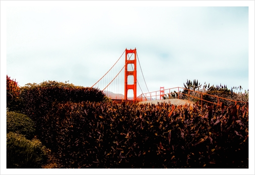 Golden Gate Bridge with blue cloudy sky at San Francisco, USA Art Print by Timmy333