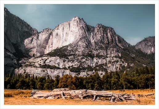 Mountains with blue sky at Yosemite national park California USA Art Print by Timmy333