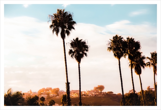 Palm tree with blue cloudy sunset sky at Shoreline Santa Barbara California USA  Art Print by Timmy333