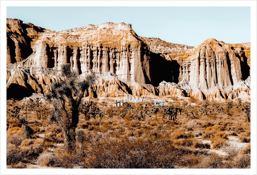 Cactus in the desert at Red Rock Canyon State Park California USA Art Print by Timmy333