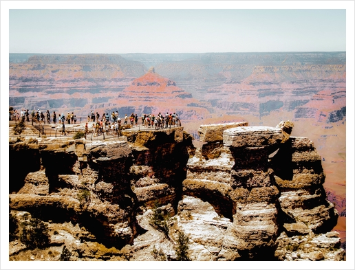 desert at Grand Canyon national park, Arizona, USA Art Print by Timmy333