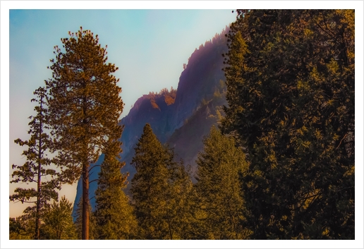 mountain and pine tree view at Yosemite national park California USA Art Print by Timmy333