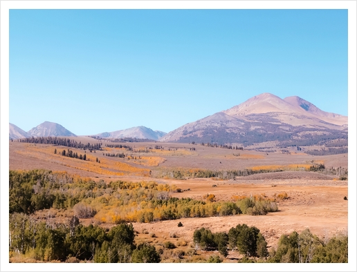 autumn tree with mountain view in California USA Art Print by Timmy333