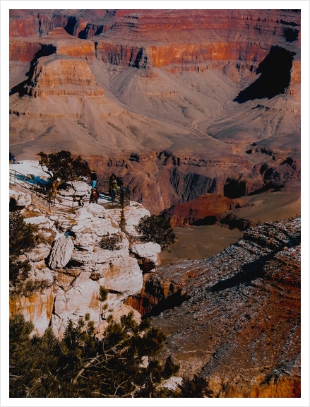 Desert scenic at Grand Canyon national park, Arizona, USA Art Print by Timmy333