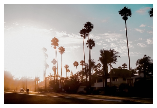 sunset sky in summer with palm tree view in California USA Art Print by Timmy333