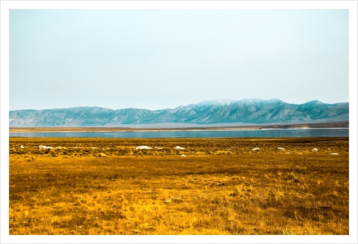 dry grass field and mountains background in California Art Print by Timmy333