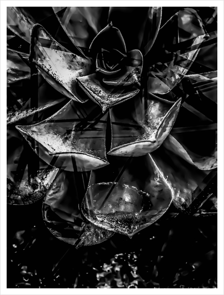 closeup succulent plant texture in black and white Art Print by Timmy333