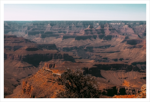 Desert layer at Grand Canyon national park USA Art Print by Timmy333