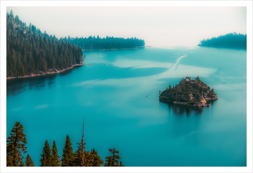 Pine tree and island at Emerald Bay Lake Tahoe California USA Art Print by Timmy333