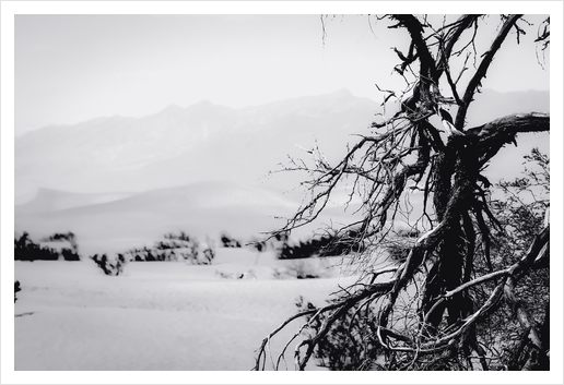 desert at Death Valley national park California in black and white Art Print by Timmy333