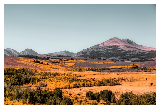 autumn tree with mountains and blue sky background in California USA Art Print by Timmy333