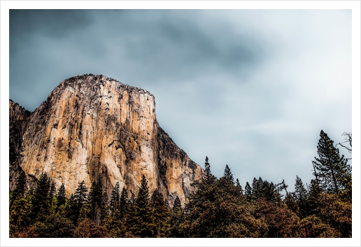 Mountains and pine tree with blue cloudy sky at Yosemite national park, California, USA Art Print by Timmy333