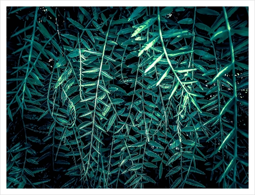 green leaf texture abstract background Art Print by Timmy333