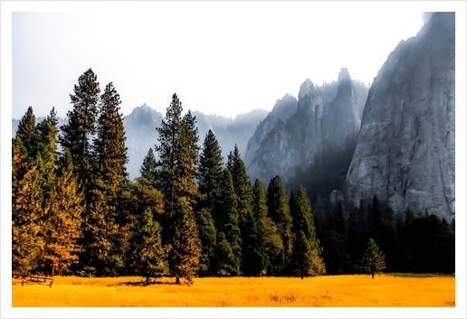 pine tree with mountains background at Yosemite national park, California, USA Art Print by Timmy333