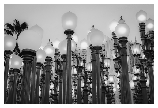 Urban Light at LACMA Los Angeles California USA in black and white Art Print by Timmy333