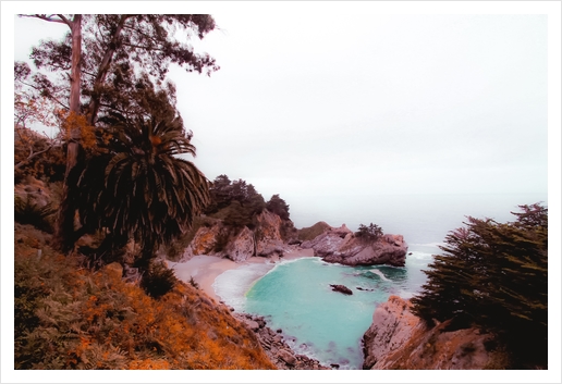 waterfall with beach view at Mcway Falls, Big Sur, Highway 1, California, USA Art Print by Timmy333
